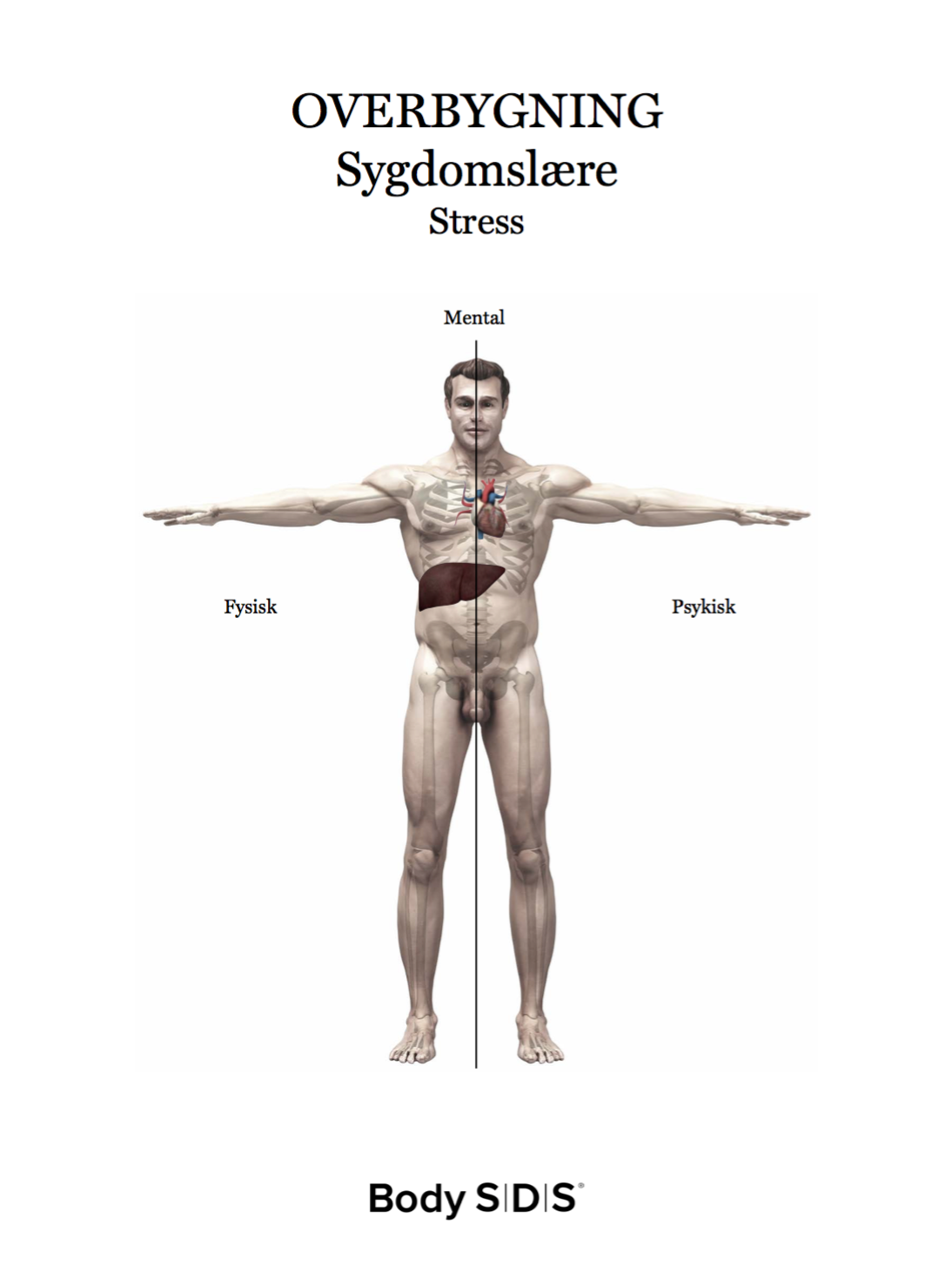psykosomatiske symptomer stress psykosomatiske symptomer stress